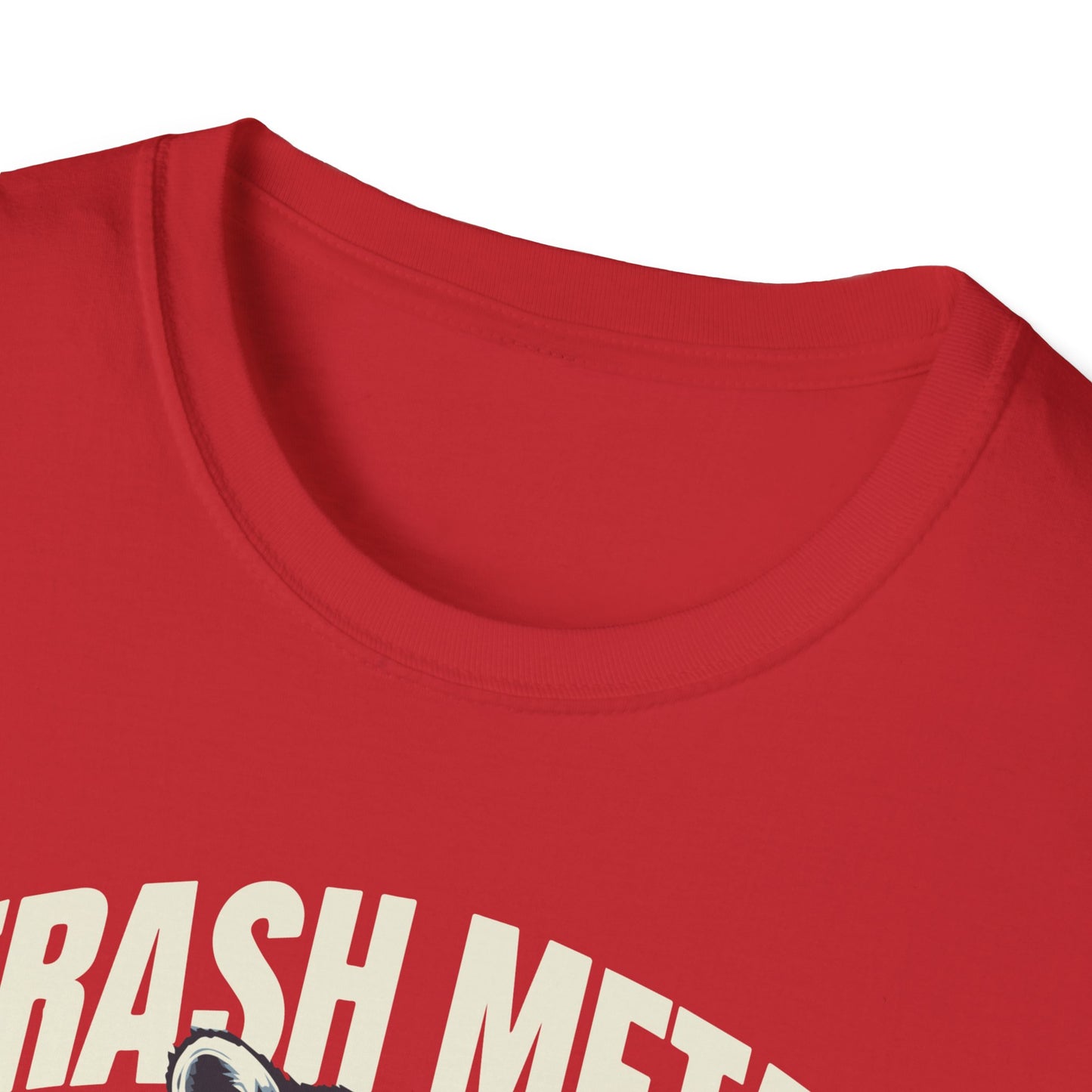 Rock and Roll Raccoon T-Shirt